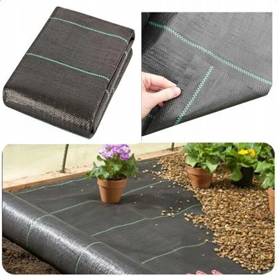 diy-2202601222008021058014