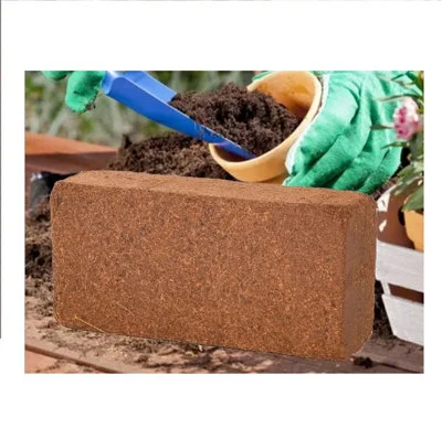 diy-320260122015634714628