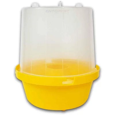 diy-3202601230408321174911
