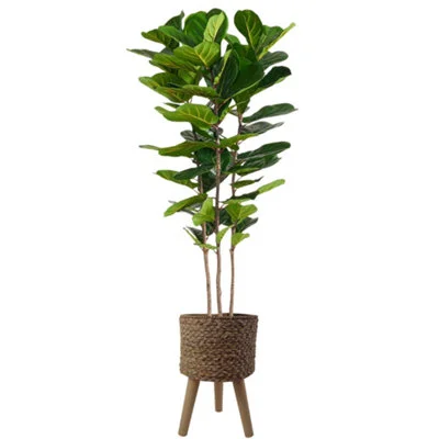 diy-420260120162300257191
