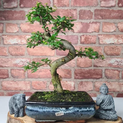 diy-420260120225435347211