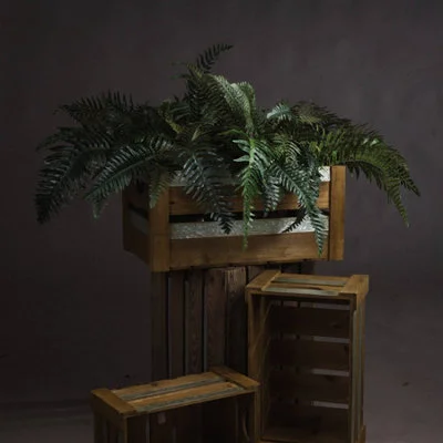 diy-4202601230355281171652
