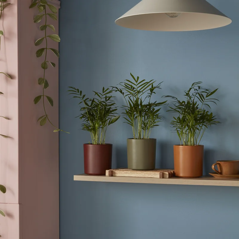 diy-5202601222206241086827