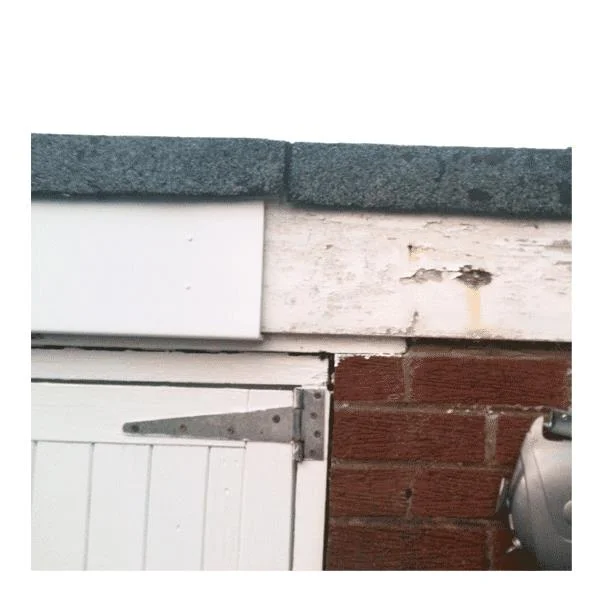 fasciaexpert20260120101306162602