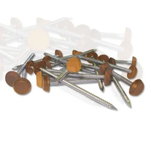 plasticbuildingsupplies20260120104541172283