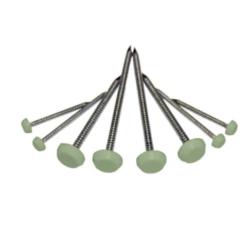 plasticbuildingsupplies20260120122341200171